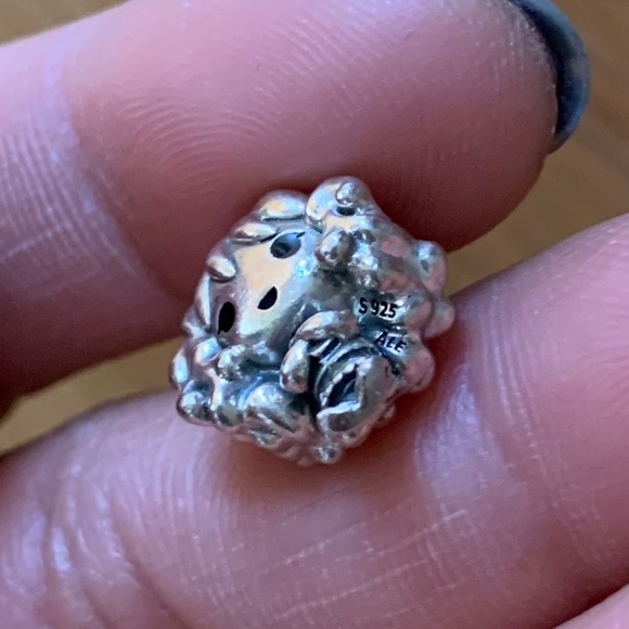 Retired Pandora x Harry Potter, Hermione Granger Charm Jewelry - Picture 8 of 8